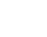 $19.99 white