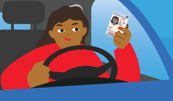 Provisional License California